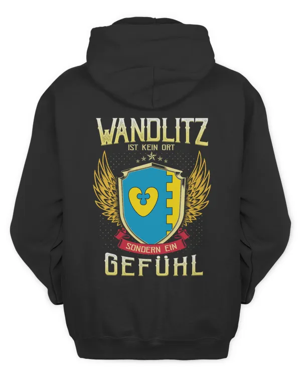 Men's Zip Hoodie