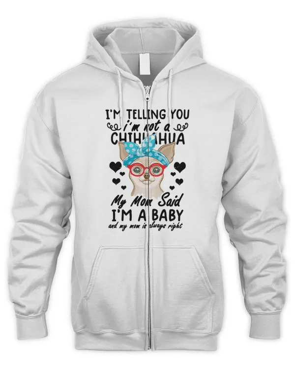 Men's Zip Hoodie