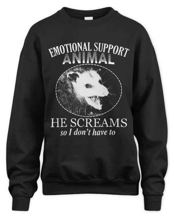 Unisex Sweatshirt