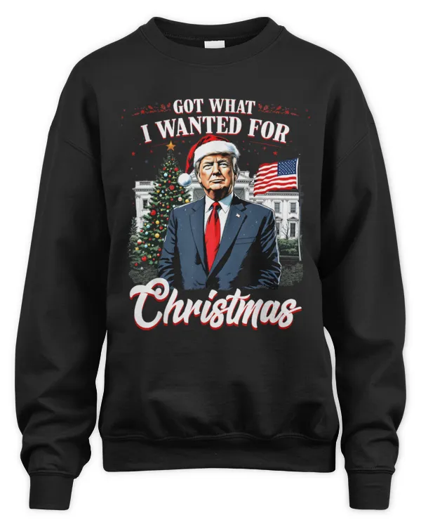 Got What I Wanted For Christmas