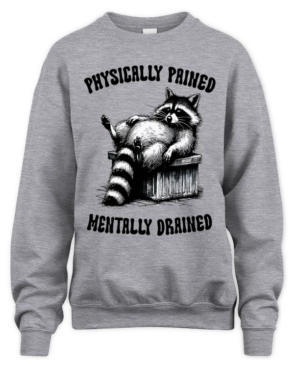 Raccoon 11