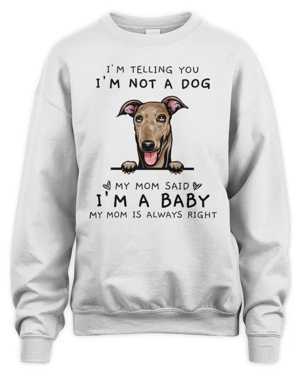 My Mom Said I'm A Baby Greyhound