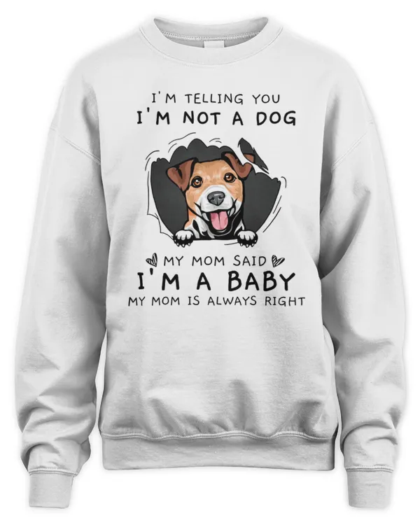 My Mom Said I'm A Baby Jack Russell