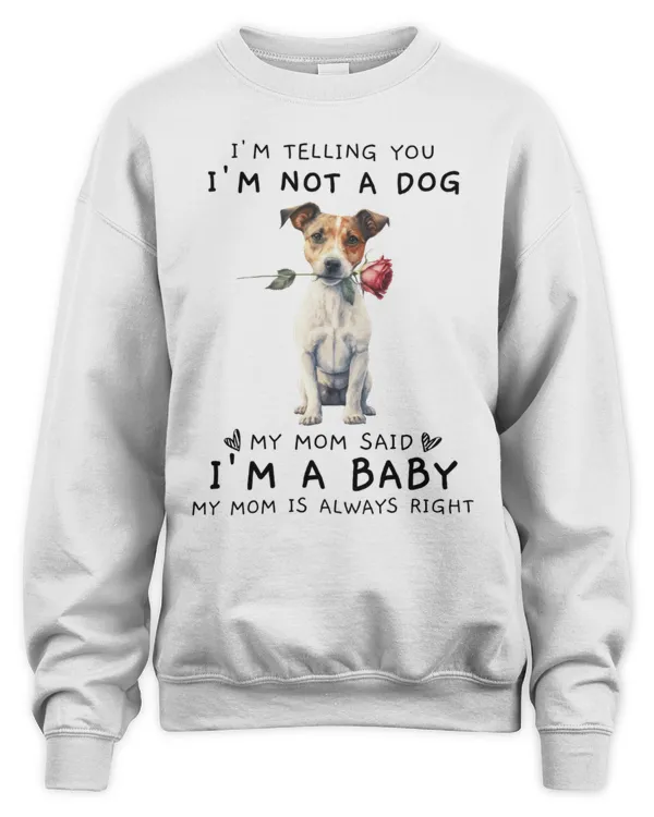 My Mom Said I'm A Baby Jack Russell