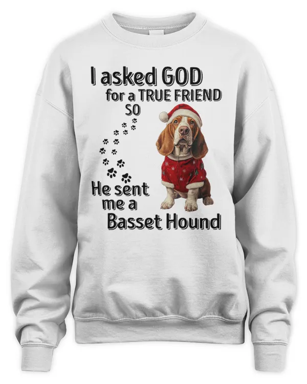 He sent me a Basset Hound