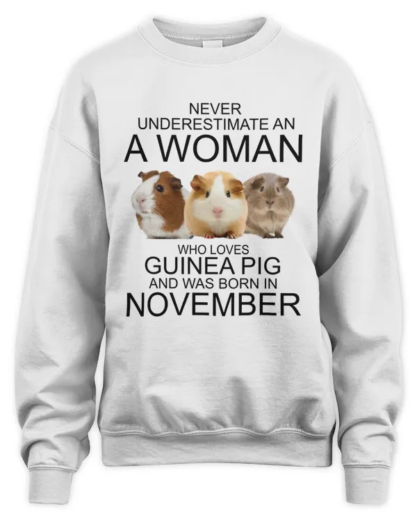 Never underestimate an a woman who loves guinea pig an was born in November