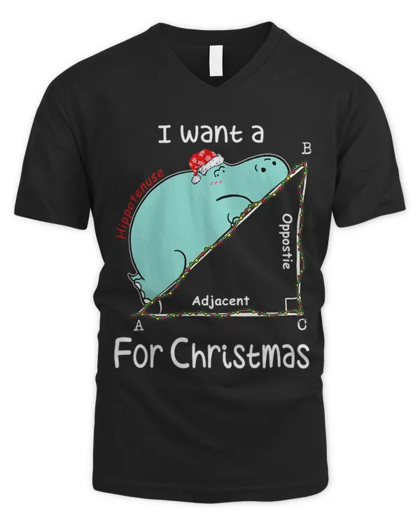 Men's V-Neck T-Shirt