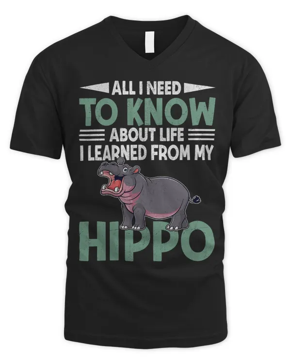 Men's V-Neck T-Shirt