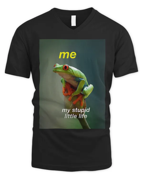 Men's V-Neck T-Shirt