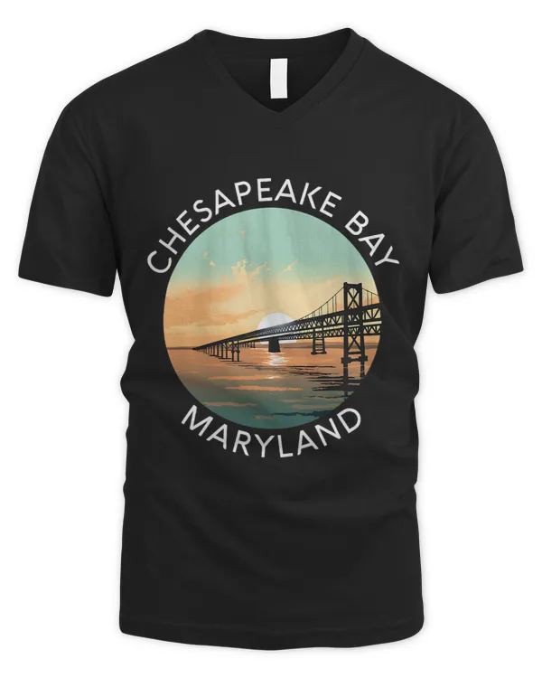Men's V-Neck T-Shirt