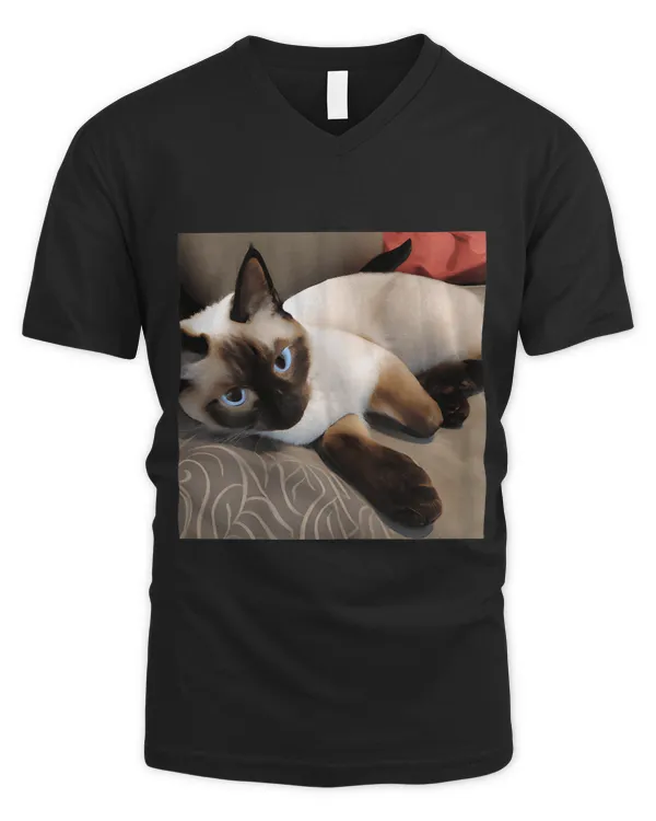 Men's V-Neck T-Shirt