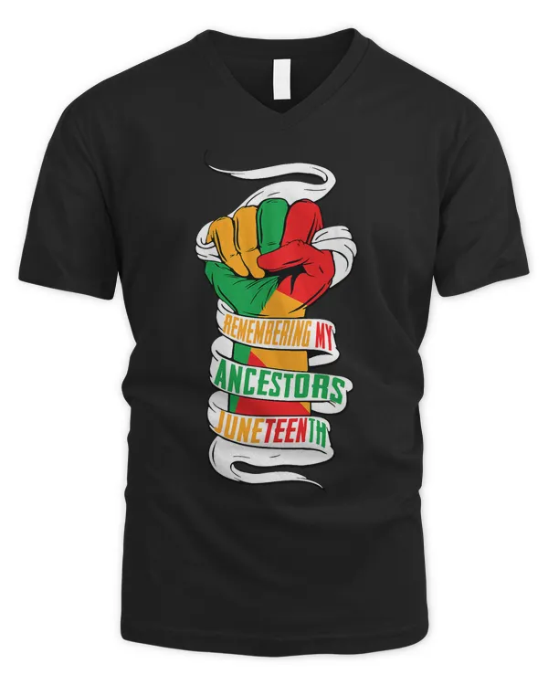 Men's V-Neck T-Shirt