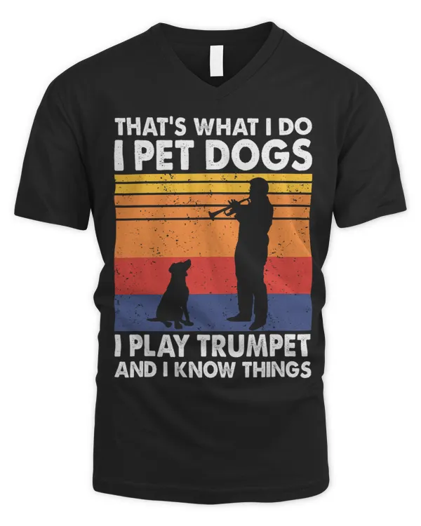 Men's V-Neck T-Shirt