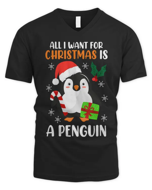 Men's V-Neck T-Shirt