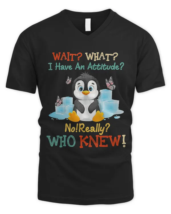 Men's V-Neck T-Shirt
