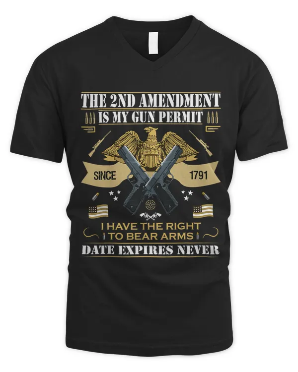 Men's V-Neck T-Shirt