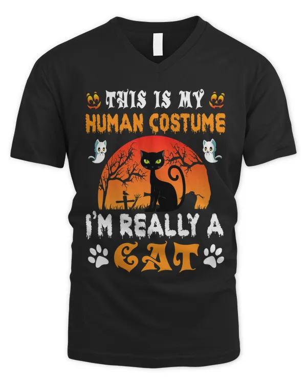 Men's V-Neck T-Shirt