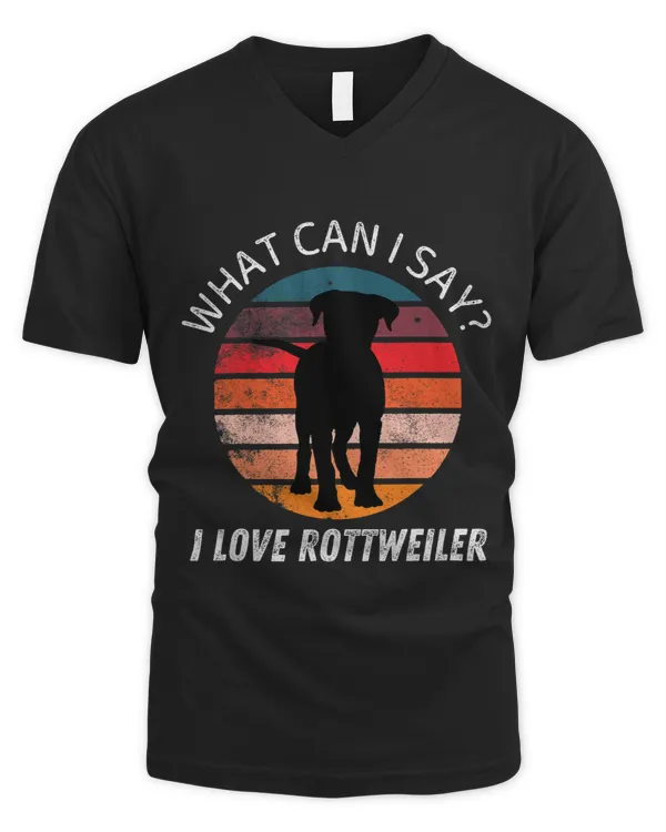 Men's V-Neck T-Shirt