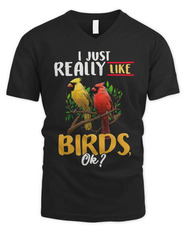 Men's V-Neck T-Shirt