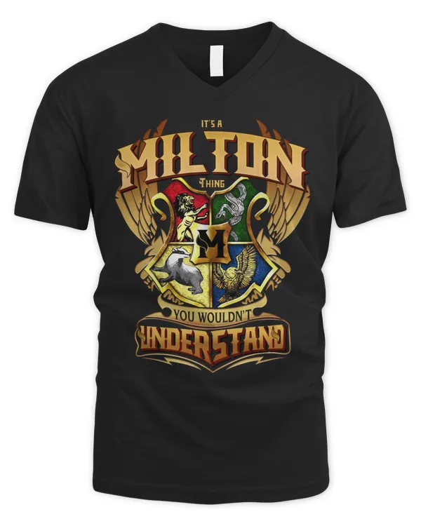 Men's V-Neck T-Shirt