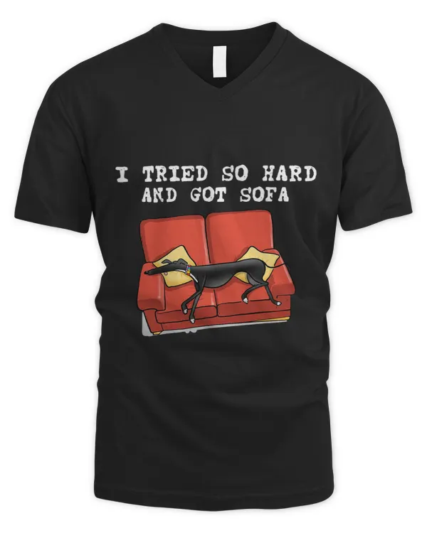 Men's V-Neck T-Shirt