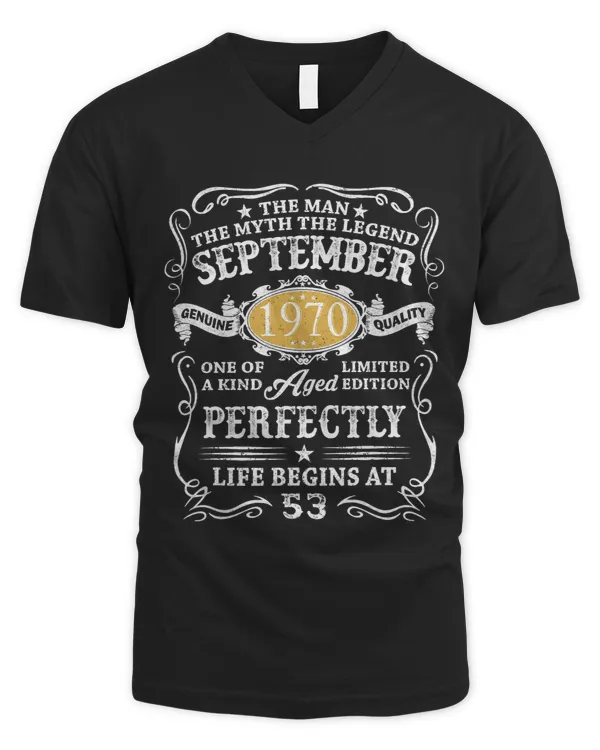 Men's V-Neck T-Shirt