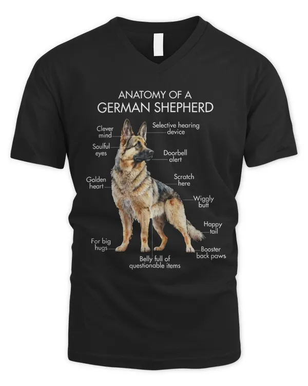 Men's V-Neck T-Shirt