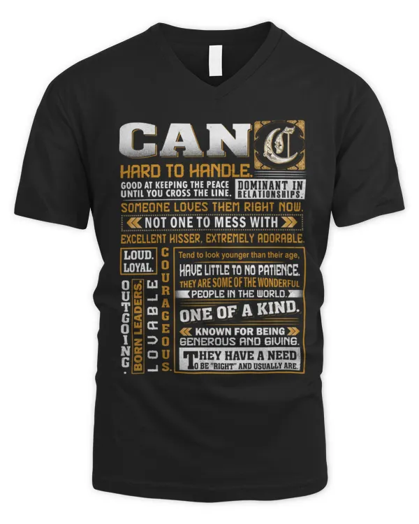 Men's V-Neck T-Shirt