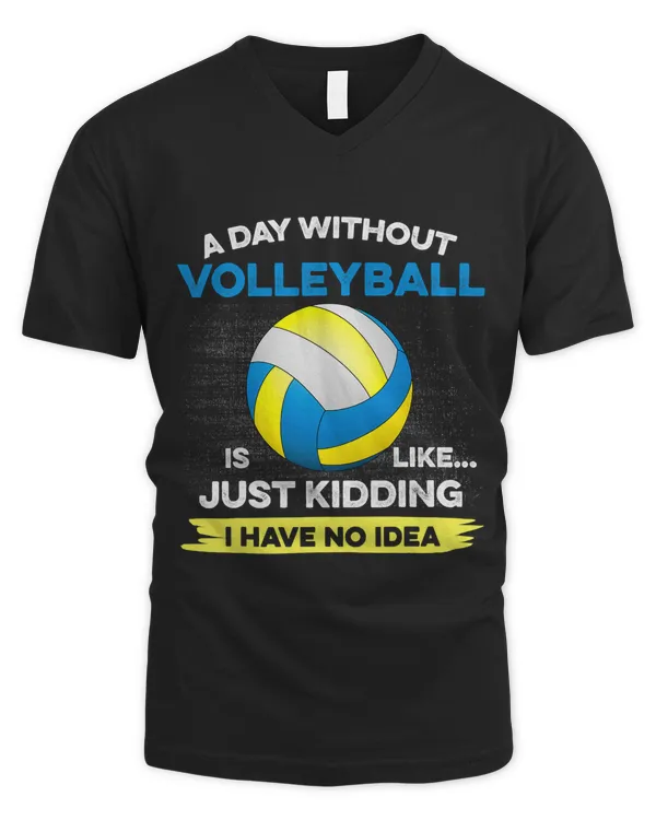 Men's V-Neck T-Shirt