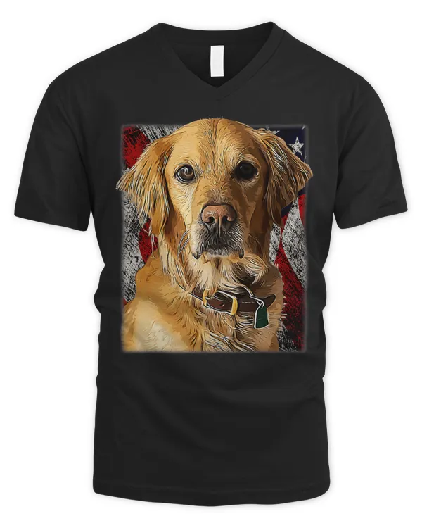Men's V-Neck T-Shirt