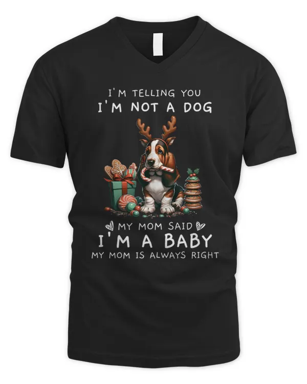 Men's V-Neck T-Shirt