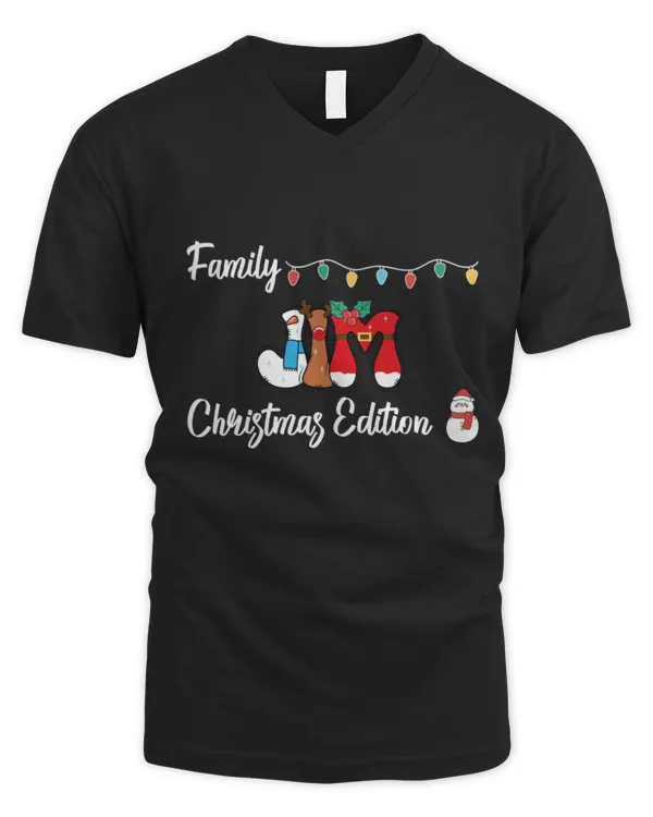 Men's V-Neck T-Shirt