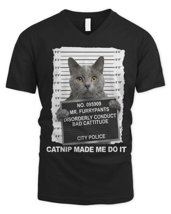 Men's V-Neck T-Shirt