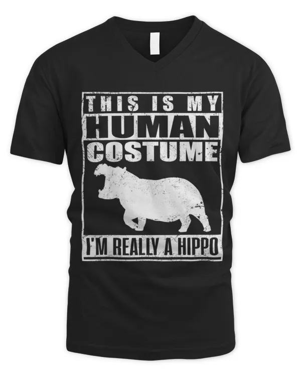 Men's V-Neck T-Shirt