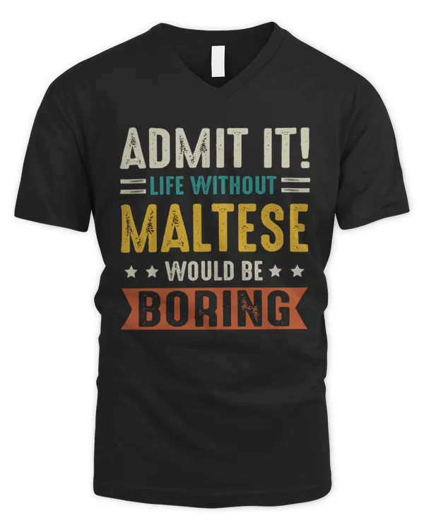 Men's V-Neck T-Shirt