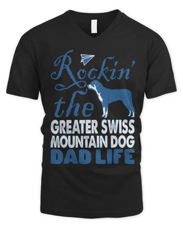 Men's V-Neck T-Shirt