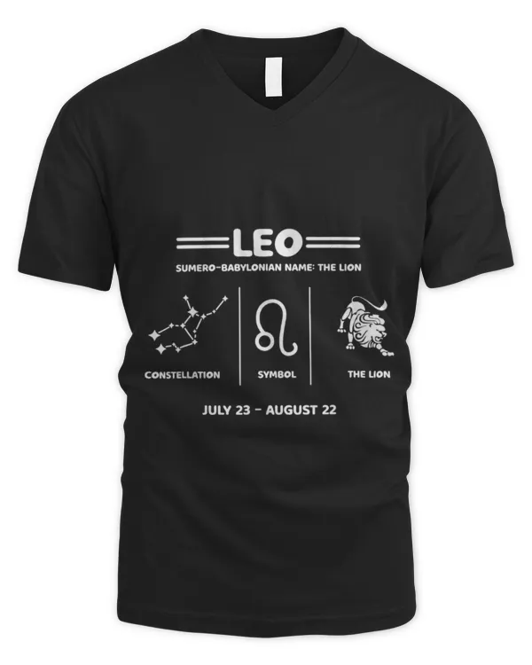 Men's V-Neck T-Shirt