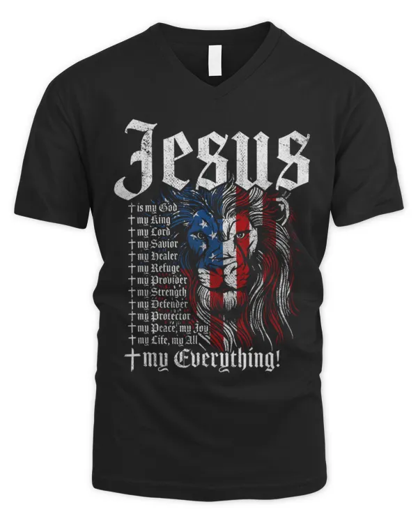 Men's V-Neck T-Shirt