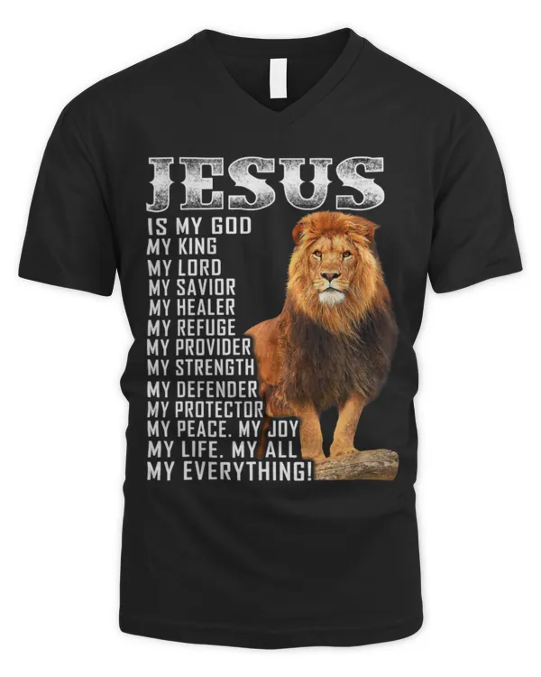 Men's V-Neck T-Shirt