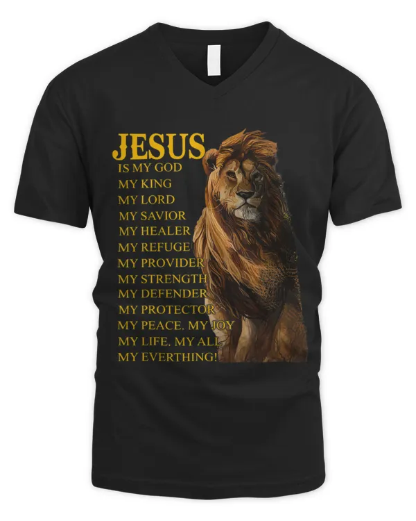 Men's V-Neck T-Shirt