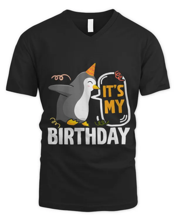 Men's V-Neck T-Shirt