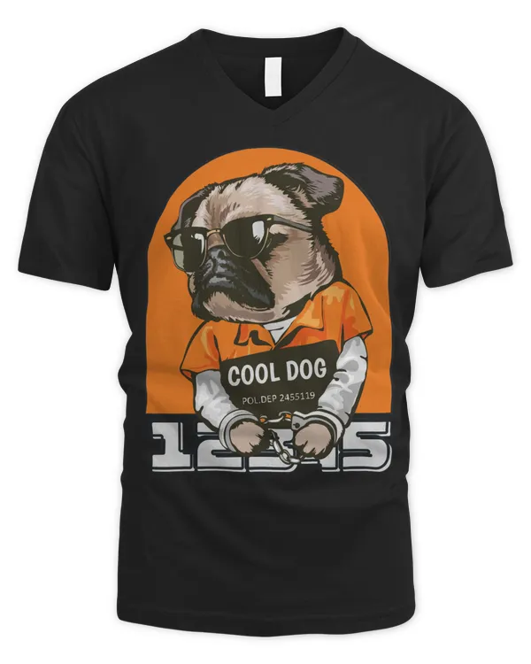 Men's V-Neck T-Shirt