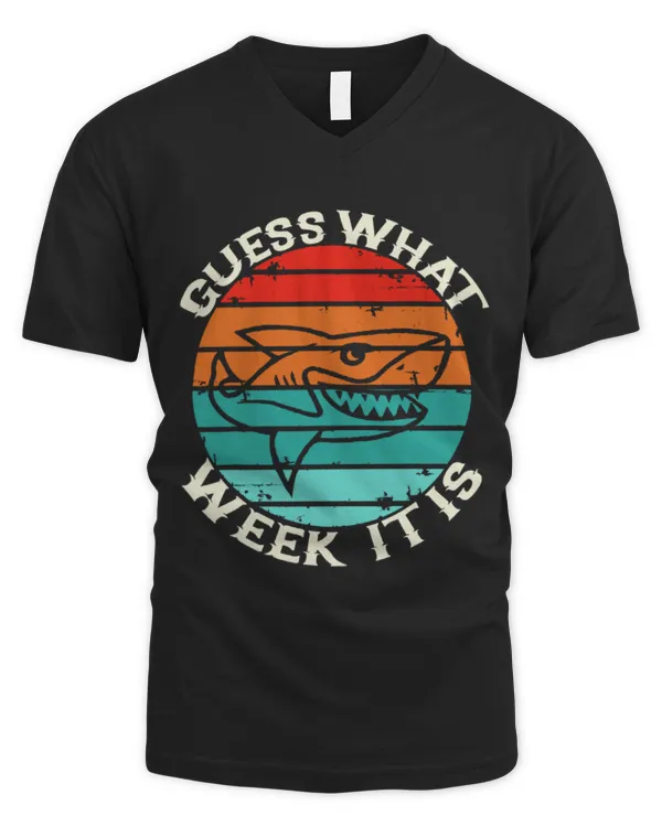 Men's V-Neck T-Shirt