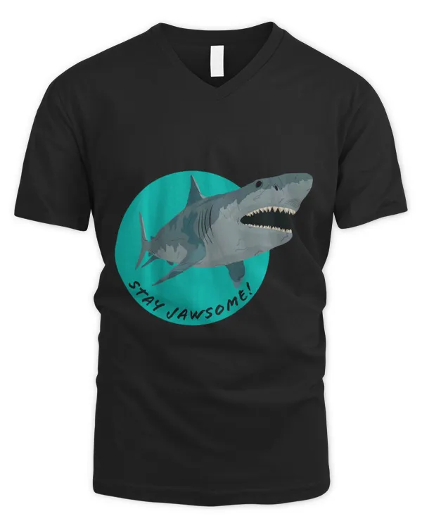 Men's V-Neck T-Shirt