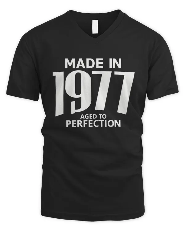 Men's V-Neck T-Shirt