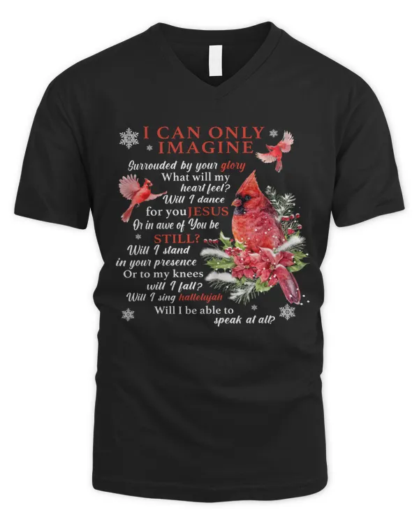 Men's V-Neck T-Shirt