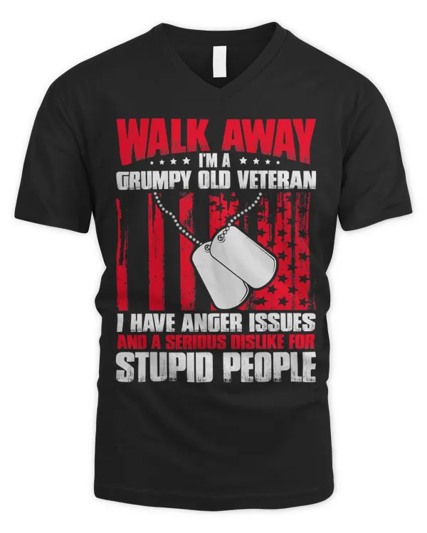 Men's V-Neck T-Shirt