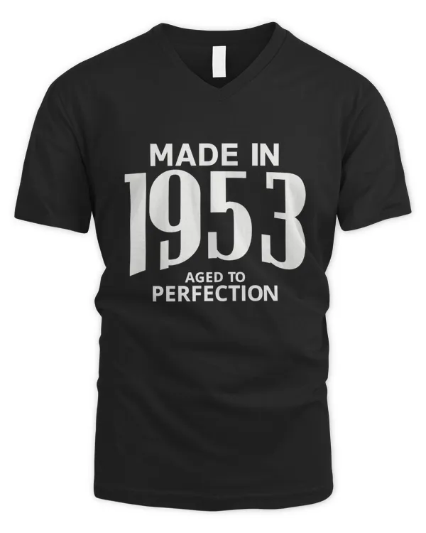 Men's V-Neck T-Shirt