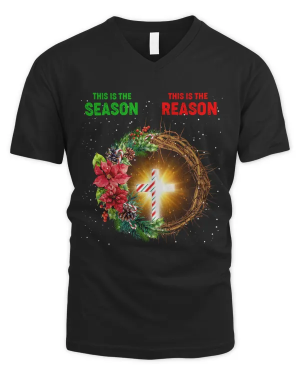 Men's V-Neck T-Shirt