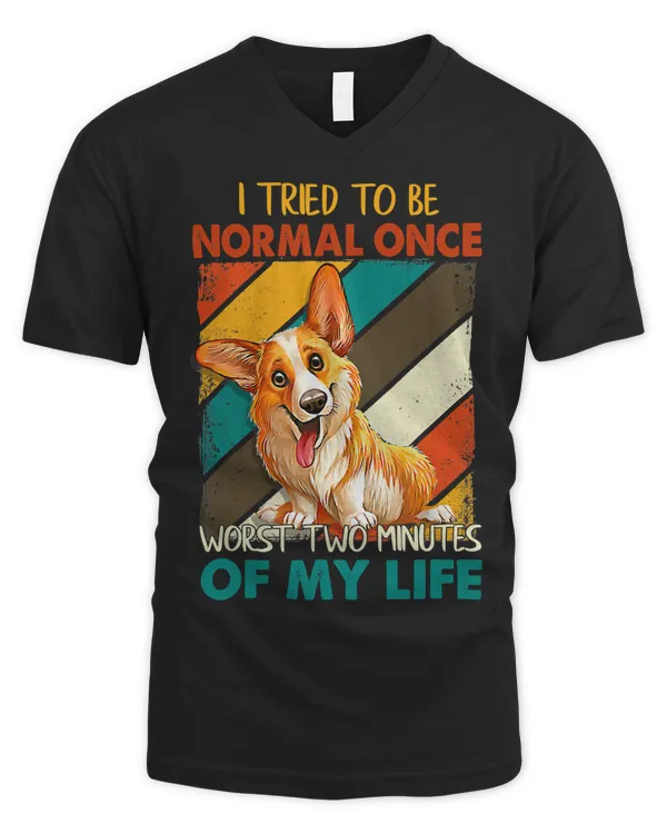 Men's V-Neck T-Shirt
